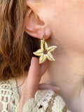 Pampilles DAPHNÉ étoile de mer réversibles couleur doré et coquillage - boucles d’oreilles interchangeables