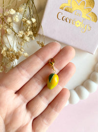 Charm's MANGUE - charm's interchangeables